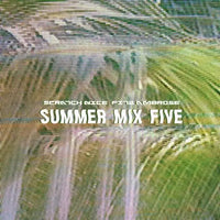 DJ SCRATCH NICE & Fitz Ambro$e - SUMMER MIX 5